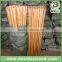 Varnish painted wooden rake handle made in China