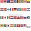 Flag Toothpick & Cupcake Topper