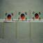 Promational Bulk Food Paper World Toothpick With Flag