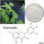 Vine tea extract Dihydromyricetin