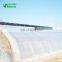 Single Tunnel Sunlight Greenhouse For Plant Growth For Roses