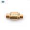 BT5012 вертикальный обратный клапан