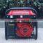 BISON(CHINA) Egypt 8500W Gasoline Generator 8500