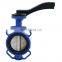 Bundor Factory Price dn50 handle operated 150lb clamp universal Ductile Iron butterfly valve price