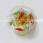 6oz ice cream cup-W