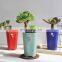 Factory direct sales of new flower language series ceramic fleshy flower pots
