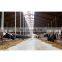 Free design cow house prefab steel structure dairy cow shed farm