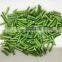 Frozen Fresh Long Bean IQF Asparagus Bean Cut