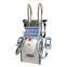 Fat Removal Device Fat Freezing Machine Cryolipolysis Beauty Equipment Cryolipolysis 5 In 1