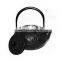 2020 Hot Selling Cast Iron Teapot 300ml Tea Kettle with infuser japanese cast iron teapots