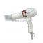 Yuyao Cool Family Name Professional Hair Dryers