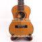 kids musical instruments chinese full closed acoustic mini bass guitar amplifier