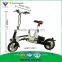 12 inch Electric Bike 250W Electric Bicycle Folding Electric Bike EN15194 EN14764 Accept OEM