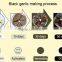High temperature humidity simulating machines black garlic price