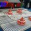 Chicken or Duck Plastic Poultry Plasson Bell Drinker
