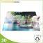 Promotional 3D Lenticular Plastic Table Mat/PP Placemat