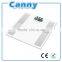 Electronic Digital Body Fat Scale with back light LCD