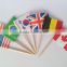 Customized Fancy Mini Country Flag Toothpicks