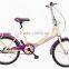 20 inch folding bike / single speed bike for lady