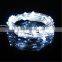 10M 100LED Christmas Fairy Lights Copper Wire LED Starry Lights DC 12V Blue Warm White RGB LED String Light Wedding Decoration