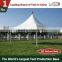 6x6m Pagoda Tent With Roof Lining And Curtain For Sale