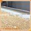 Belt Conveyor for Food