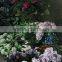 Beautiful Home Decoration Glass Painting Designs Of Flowers