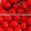 We are supply canned fruits ,sweet canned cherry good quality                        
                                                Quality Choice