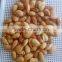 China NP roasted almond nut in shell for sale