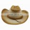 Paper cowboy straw hat