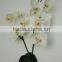 orchid flower ornament faux flowers Orchid(14 head,6 fruit)
