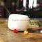 ultrasonic diffuser humidifier / aromatherapy air diffuser / electric oil aroma diffuser