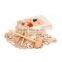 Deluxe Polished Gemstone, Rock and Mineral Treasure Dig Kit
