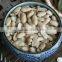 Roasted And Salted Peanut With Spicy , Spicy Peanut Kernels, Peanut Snacks