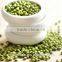 Green Mung Beans(New Crop High Quality )