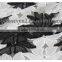 Fashionable chemical embroidery lace african flower lace fabric embroidered