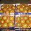 Citrus Honey Pomelo Fruit 8-11 pcs 10kg carton