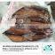 High Quality Frozen Whole Round Argentinus Illex Giant Squid price