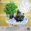 Horticulture Perlite