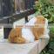 Lifelike Outdoor Large Decorative Toy Shoppe Dog Toys