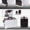 Hot Sell Pet Disinfection Air Purifier 5g Ceramic Tube Portable Ozone Generator