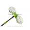 Houseware Flexible Flexional Microfibre Cleanning Mop, new style mop head
