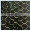 China cheap Hexagonal Wire Netting/ fence netten mesh/ animal catching netsing