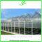 High Quality Giant Greenhouse,flower,plant House/large Inflatable Membrane Structures