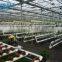 Multi Functional Glass Greenhouse For Hydroponic greenhouse & systems