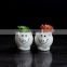 Lovely cartoon home decoration white ceramic succulents flower pot stand