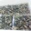 Frozen Short Necked Clam Size 41-50