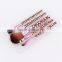 Popular Style Long Handle Women Makeup Brush