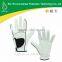 Personalized Design Plain Leather Golf Gloves in European
