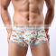 MGOO Hot Sale Cartoon Custom Print Underwear High Quality Bvd Underwear Tee Boys In Boxer MB023